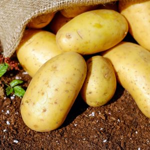 Pommes de terre