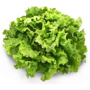 Salade